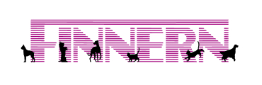 Finnern Logo